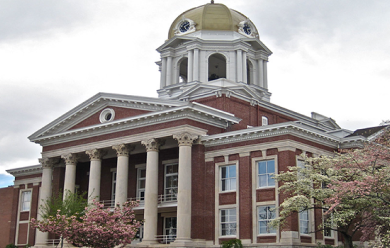 Stunning view of Cartersville, Georgia showcasing its vibrant landscapes and historic charm.